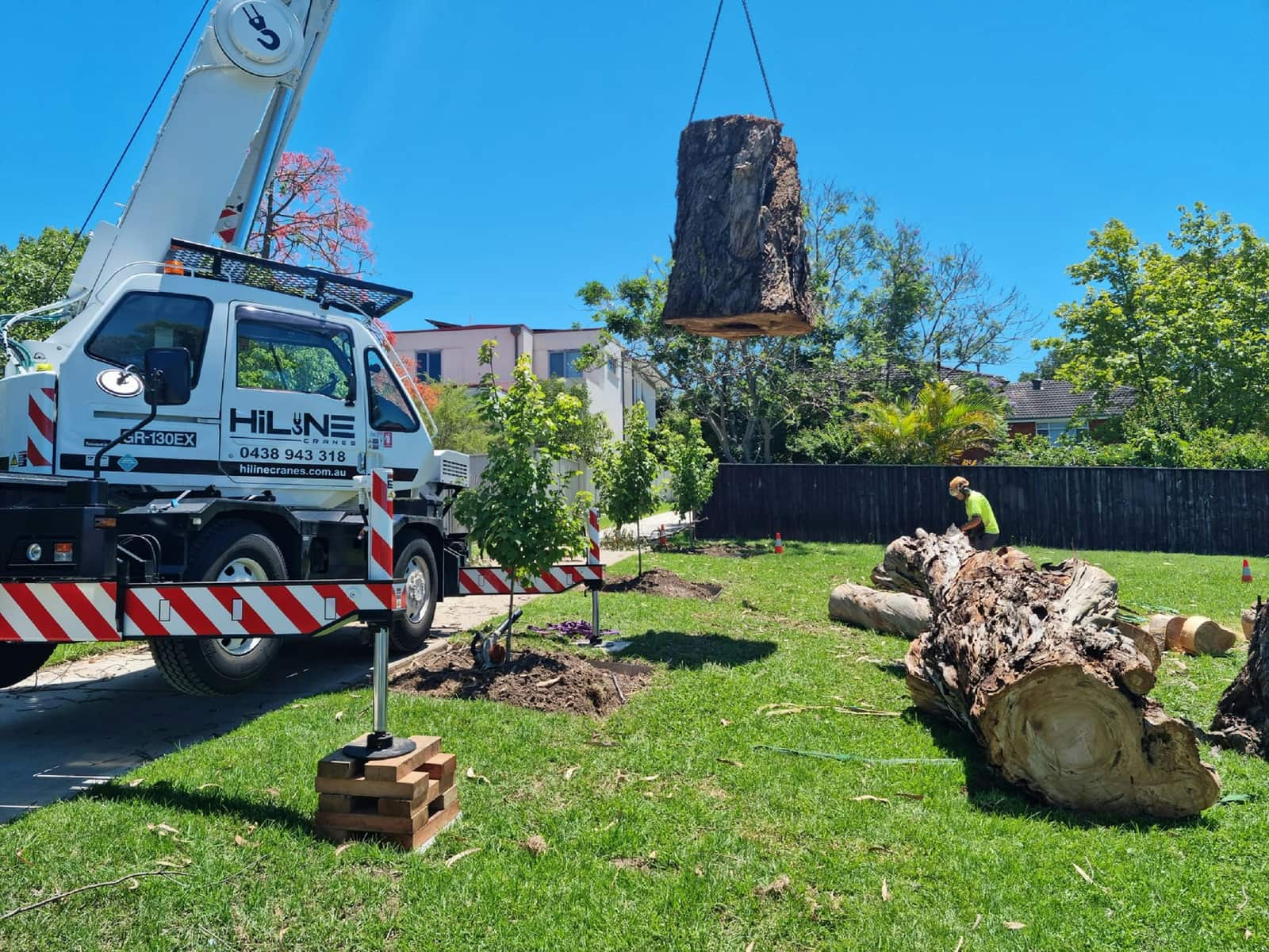 Stump removal service